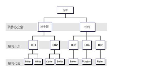 erp系统 销售主数据结构